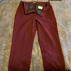 Express Columnist Dress Pant